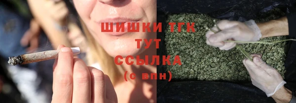 ешки Арсеньев