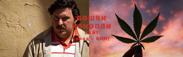 ешки Арсеньев
