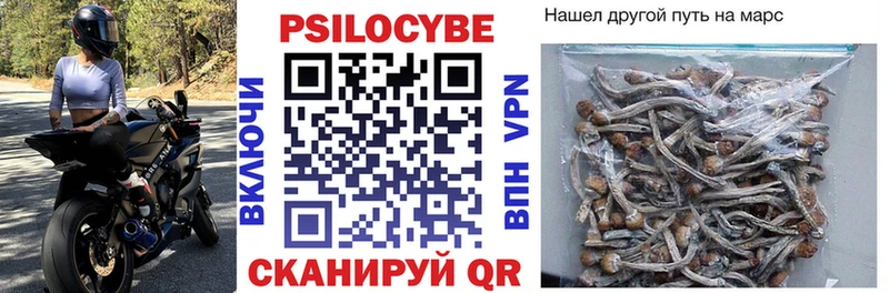 сайты даркнета телеграм  Славск  Галлюциногенные грибы Psilocybine cubensis  даркнет сайт 
